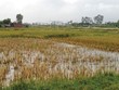 Dân Thanh Hóa mua nhầm… “đất đa cấp”